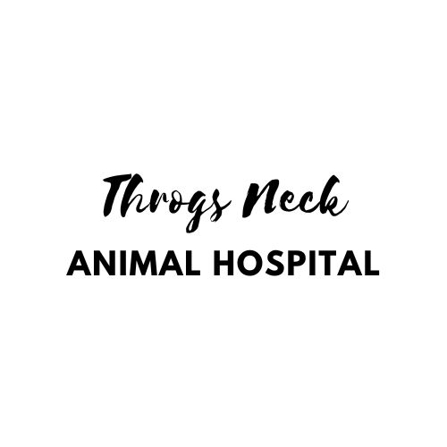 Throgs Neck logo