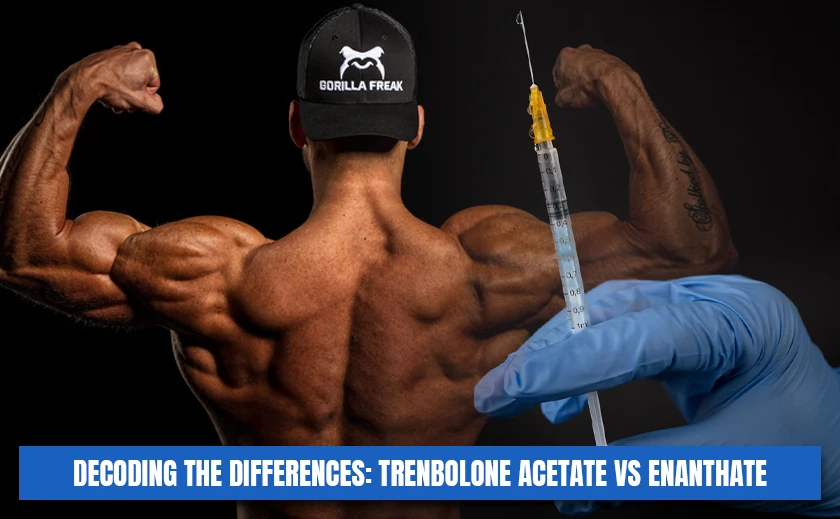 Decoding The Differences: Trenbolone Acetate Vs Enanthate